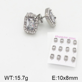 Stainless Steel Earrings  5E4001522aiov-436