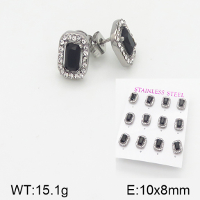 Stainless Steel Earrings  5E4001525aiov-436