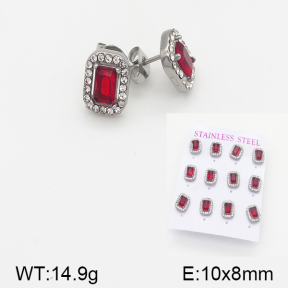 Stainless Steel Earrings  5E4001528aiov-436