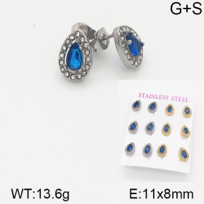 Stainless Steel Earrings  5E4001530aipl-436