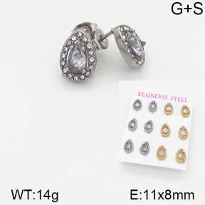 Stainless Steel Earrings  5E4001533aipl-436
