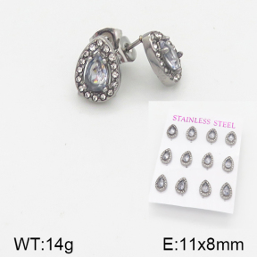 Stainless Steel Earrings  5E4001534aiov-436