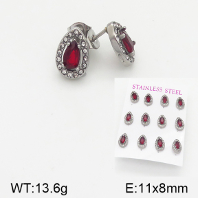 Stainless Steel Earrings  5E4001537aiov-436
