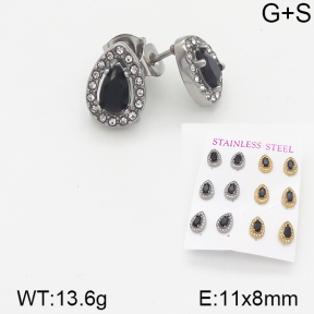 Stainless Steel Earrings  5E4001539aipl-436