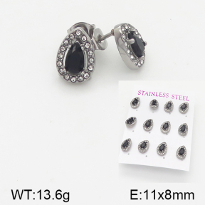 Stainless Steel Earrings  5E4001540aiov-436