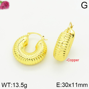 Fashion Copper Earrings  F2E200106bhva-J40