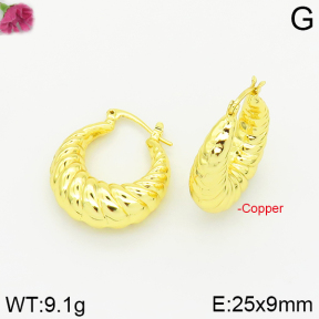 Fashion Copper Earrings  F2E200110vbpb-J40