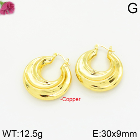 Fashion Copper Earrings  F2E200126bhva-J40