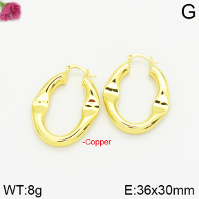 Fashion Copper Earrings  F2E200128bbov-J40