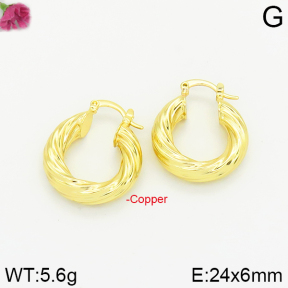 Fashion Copper Earrings  F2E200133bbov-J40