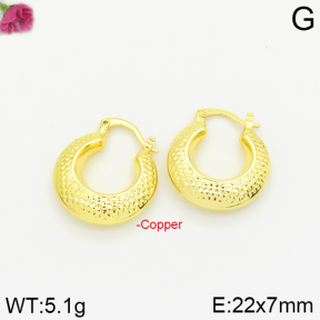 Fashion Copper Earrings  F2E200144vbpb-J40