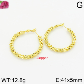 Fashion Copper Earrings  F2E200153bbov-J40