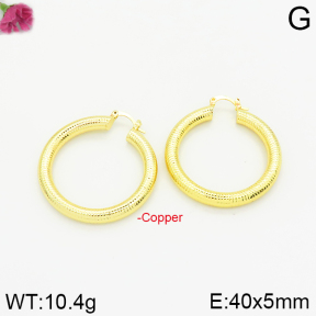 Fashion Copper Earrings  F2E200155bbov-J40