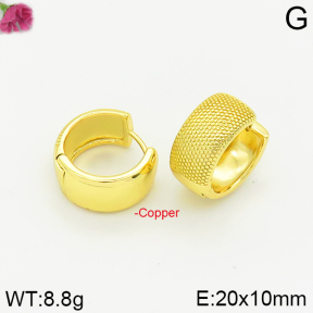 Fashion Copper Earrings  F2E200156bbov-J40