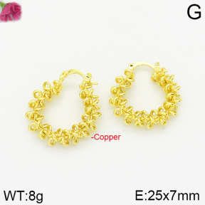 Fashion Copper Earrings  F2E200160vbnb-J40