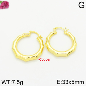 Fashion Copper Earrings  F2E200163vbpb-J40