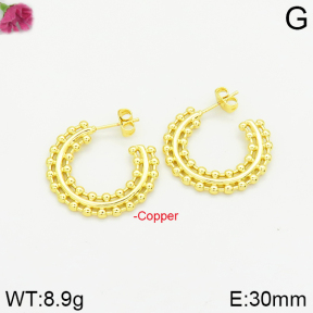 Fashion Copper Earrings  F2E200166bbov-J40