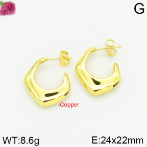Fashion Copper Earrings  F2E200173bbov-J40