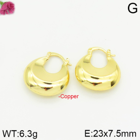 Fashion Copper Earrings  F2E200174vbpb-J40