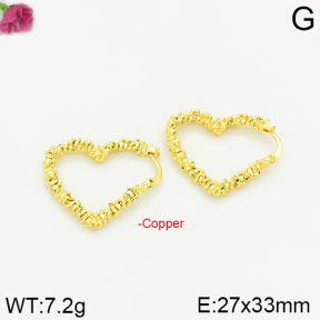 Fashion Copper Earrings  F2E200177bbov-J40