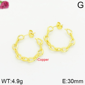 Fashion Copper Earrings  F2E200180bbov-J40