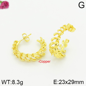 Fashion Copper Earrings  F2E200181bbov-J40
