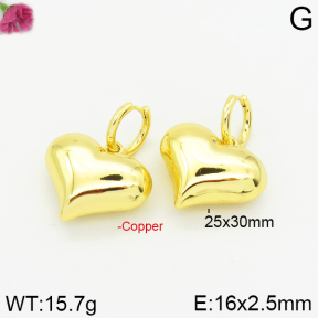 Fashion Copper Earrings  F2E200182bhia-J40