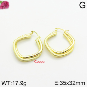 Fashion Copper Earrings  F2E200183bbov-J40