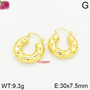 Fashion Copper Earrings  F2E200186vbpb-J40