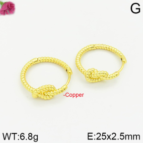 Fashion Copper Earrings  F2E200191bbov-J40