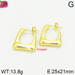 Fashion Copper Earrings  F2E200192bbov-J40