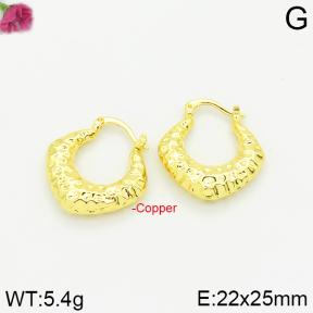Fashion Copper Earrings  F2E200197vbpb-J40