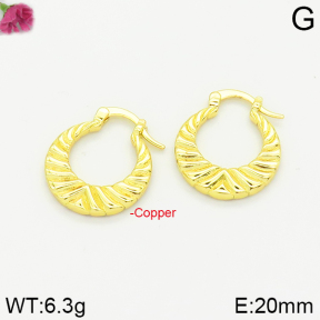 Fashion Copper Earrings  F2E200198vbnb-J40