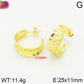 Fashion Copper Earrings  F2E200202bbov-J40