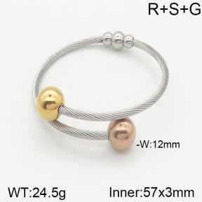 Stainless Steel Bangle  5BA200798bbml-387