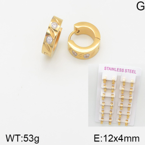 Stainless Steel Earrings  5E4001549amaa-387