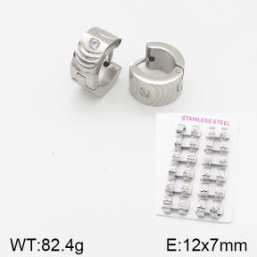 Stainless Steel Earrings  5E4001550akoa-387