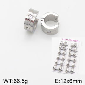 Stainless Steel Earrings  5E4001551akoa-387