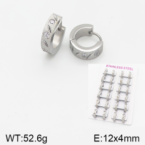Stainless Steel Earrings  5E4001552alka-387