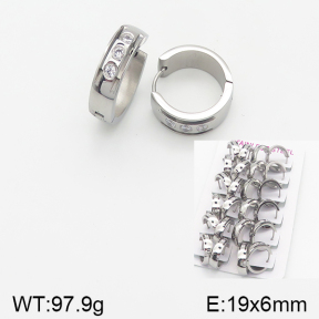 Stainless Steel Earrings  5E4001555bpmb-387