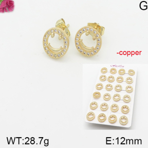 Fashion Copper Earrings  F5E401108akoa-J22