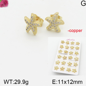 Fashion Copper Earrings  F5E401148akoa-J22