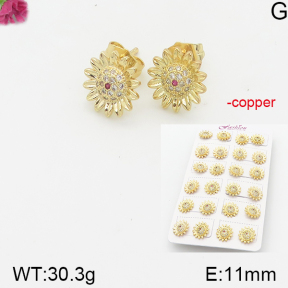 Fashion Copper Earrings  F5E401156akoa-J22