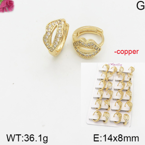 Fashion Copper Earrings  F5E401220akia-J22