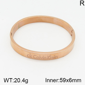 CK  Bangles  PZ0172321vhnv-312