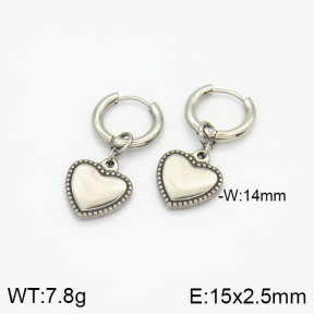 Stainless Steel Earrings  2E2001443vbnb-256
