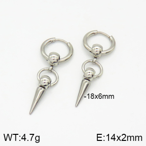 Stainless Steel Earrings  2E2001452vbnb-256