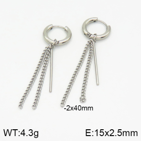 Stainless Steel Earrings  2E2001465bbov-256