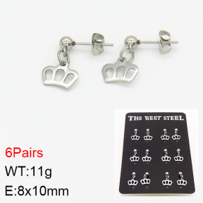 Stainless Steel Earrings  2E2001483bika-256