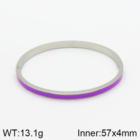 Stainless Steel Bangle  2BA300083bbml-478